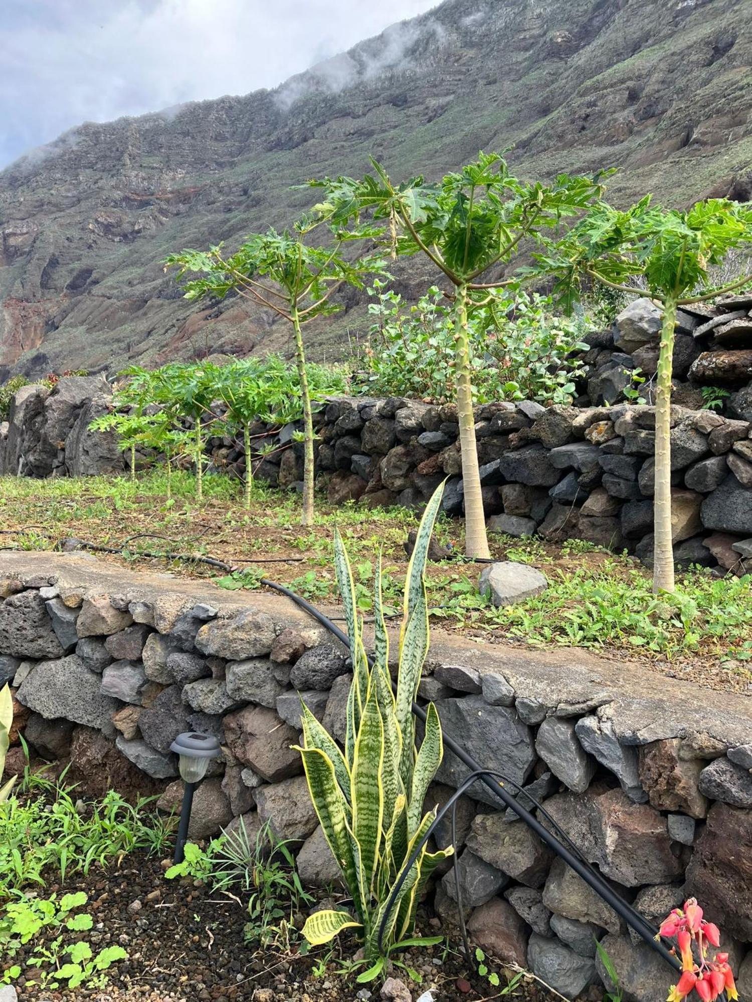 Casa Nela. Rural Y Acogedora En Las Puntas El Hierro Frontera Exteriér fotografie